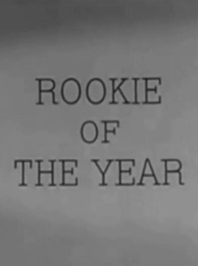 Rookie of the Year (TV)