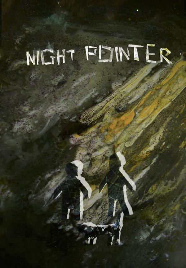 Night Pointer