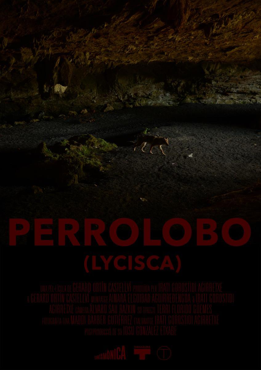 Perrolobo (Lycisca)