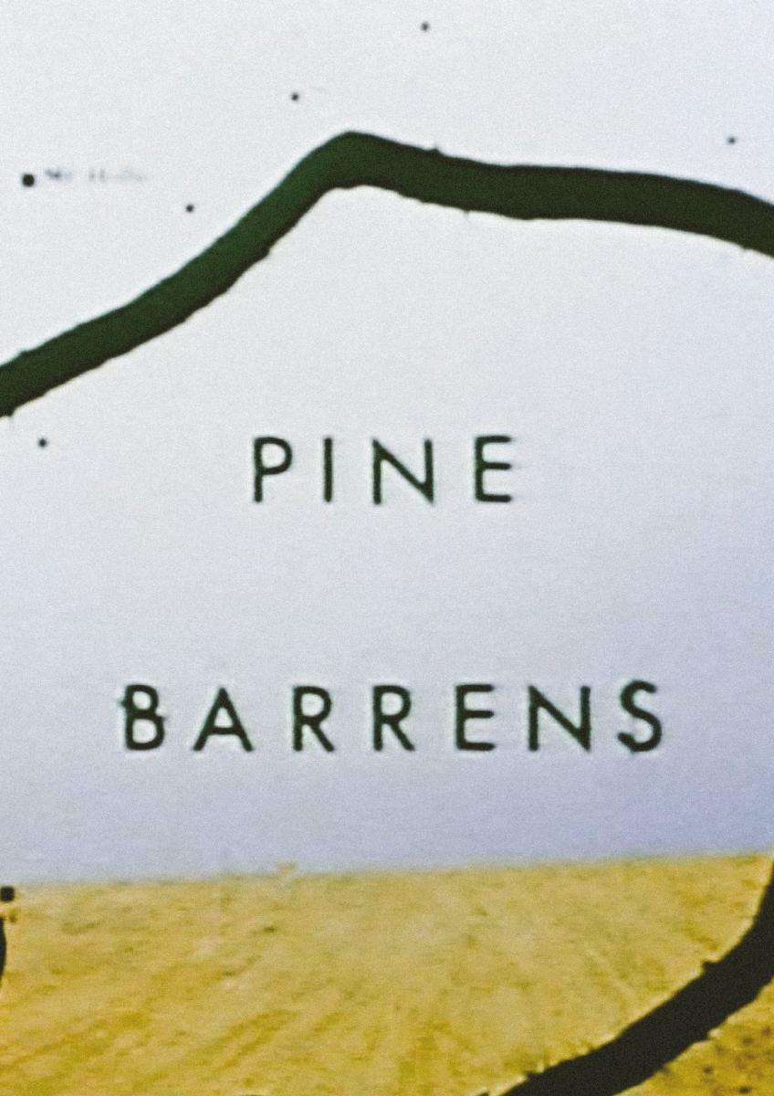 Pine Barrens