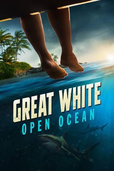 Great White Open Ocean