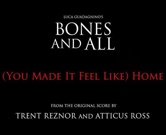 Trent Reznor & Atticus Ross: (You Made It Feel Like) Home (Music Video)