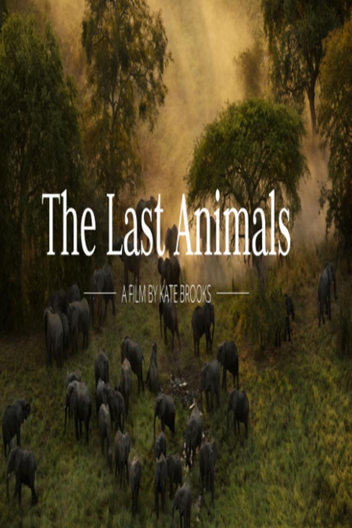 The Last Animals