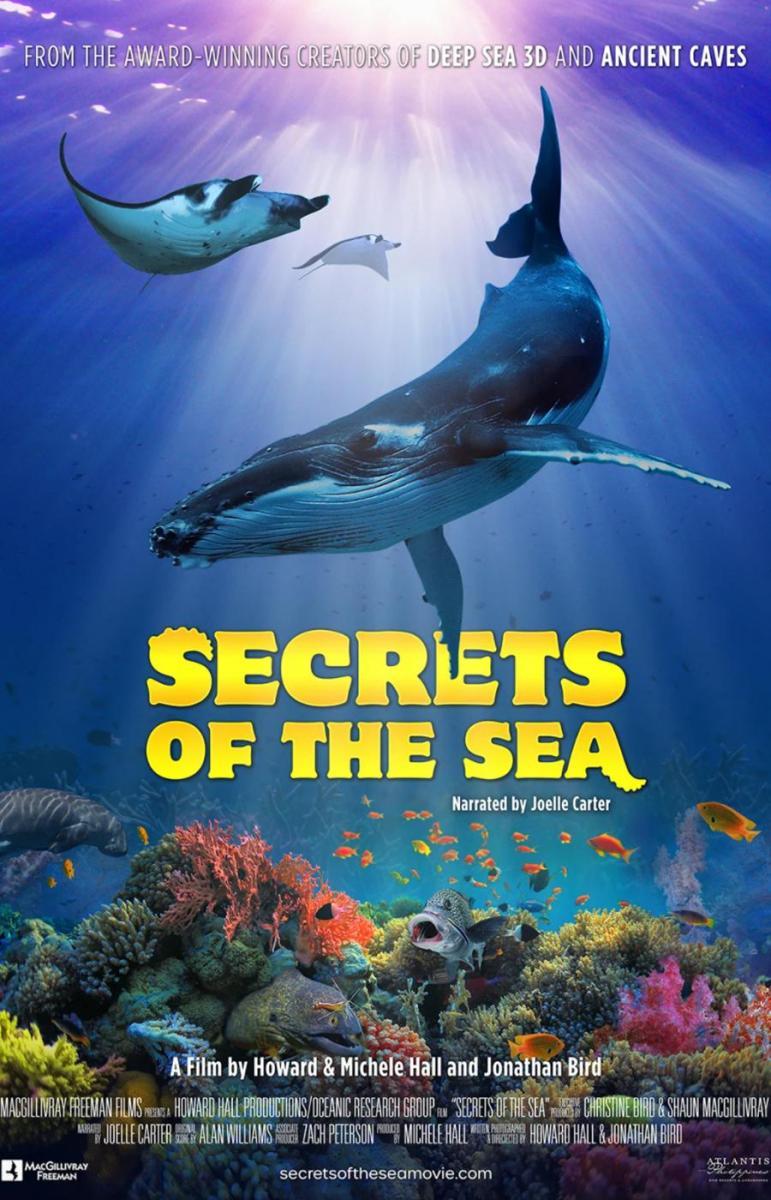 Secrets of the Sea