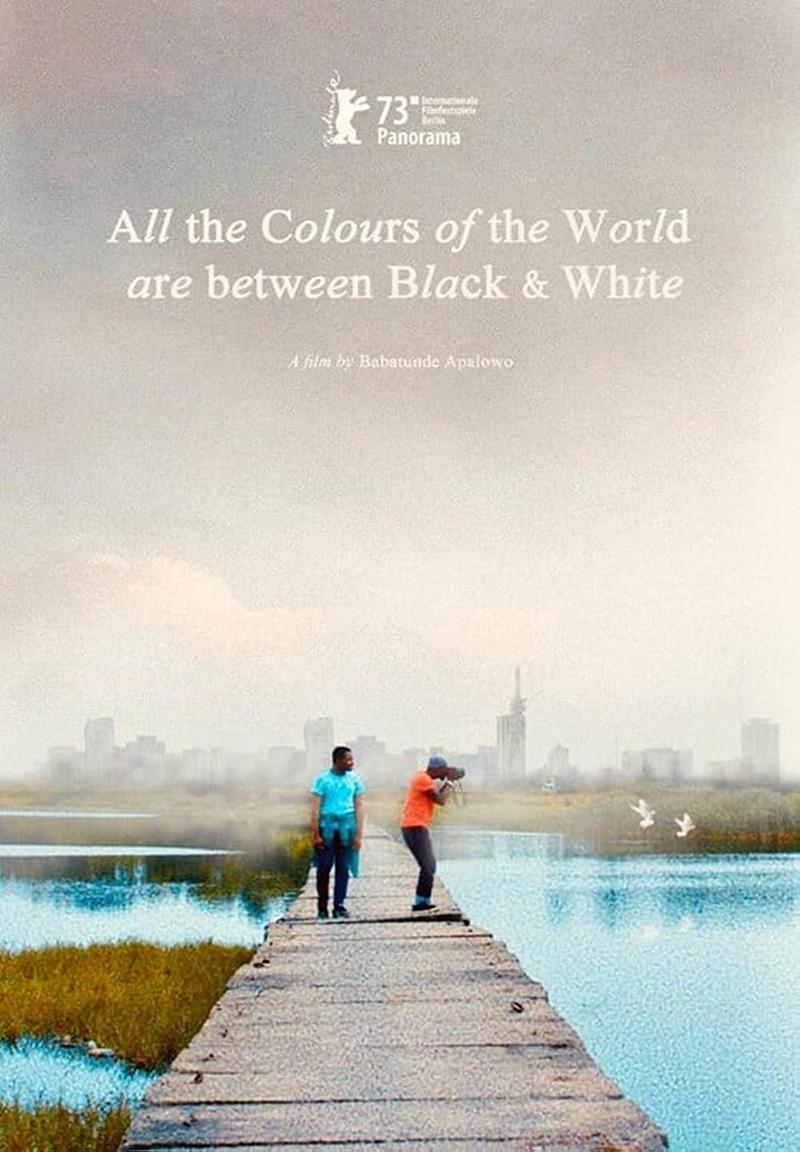 All the Colours of the World are Between Black and White