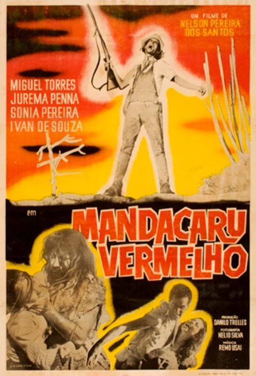 Mandacaru Vermelho