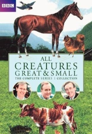 All Creatures Great and Small (TV Series)