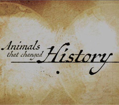 Animals That Changed History (TV Series)