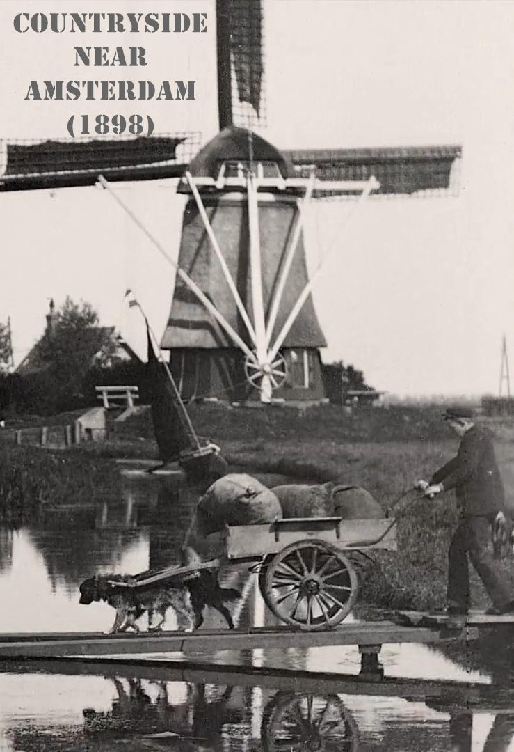 Countryside Near Amsterdam (S)