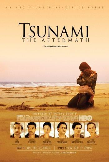 Tsunami: The Aftermath (TV Miniseries)
