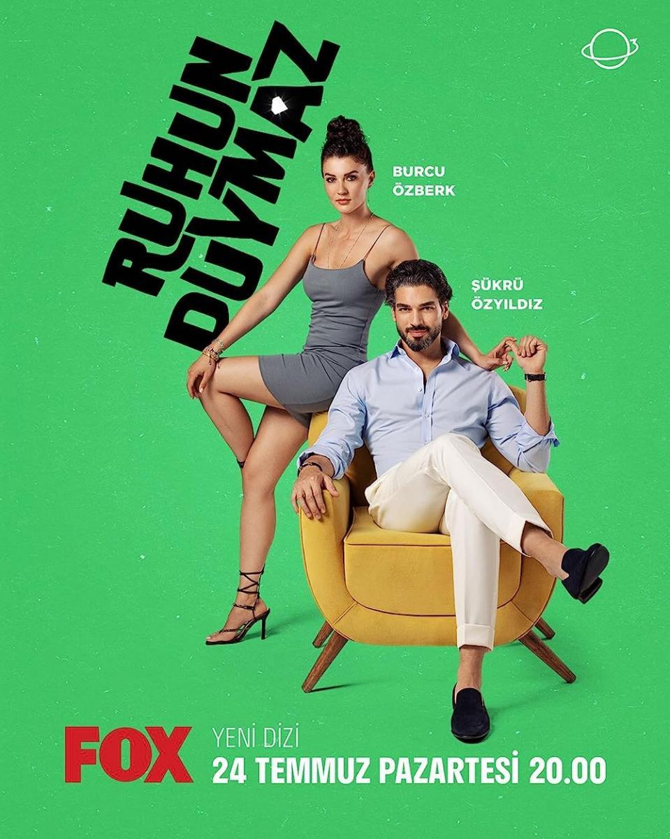 Tu espíritu no oye (Serie de TV)