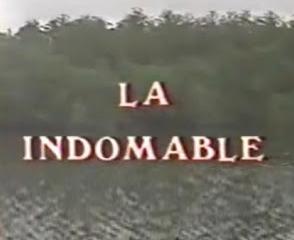 La indomable (Serie de TV)