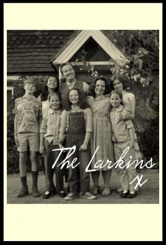 The Larkins (TV Series)