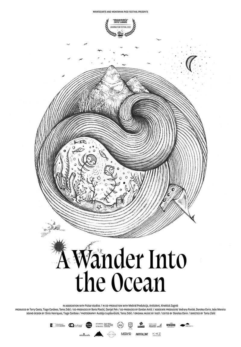 A Wander Into The Ocean