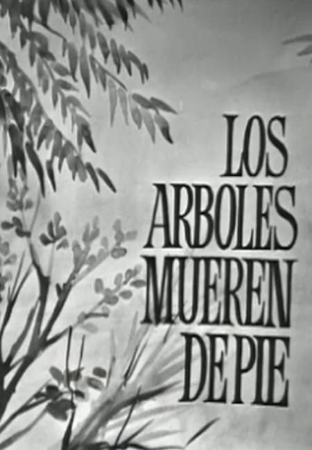 Estudio 1: Los árboles mueren de pie (TV)