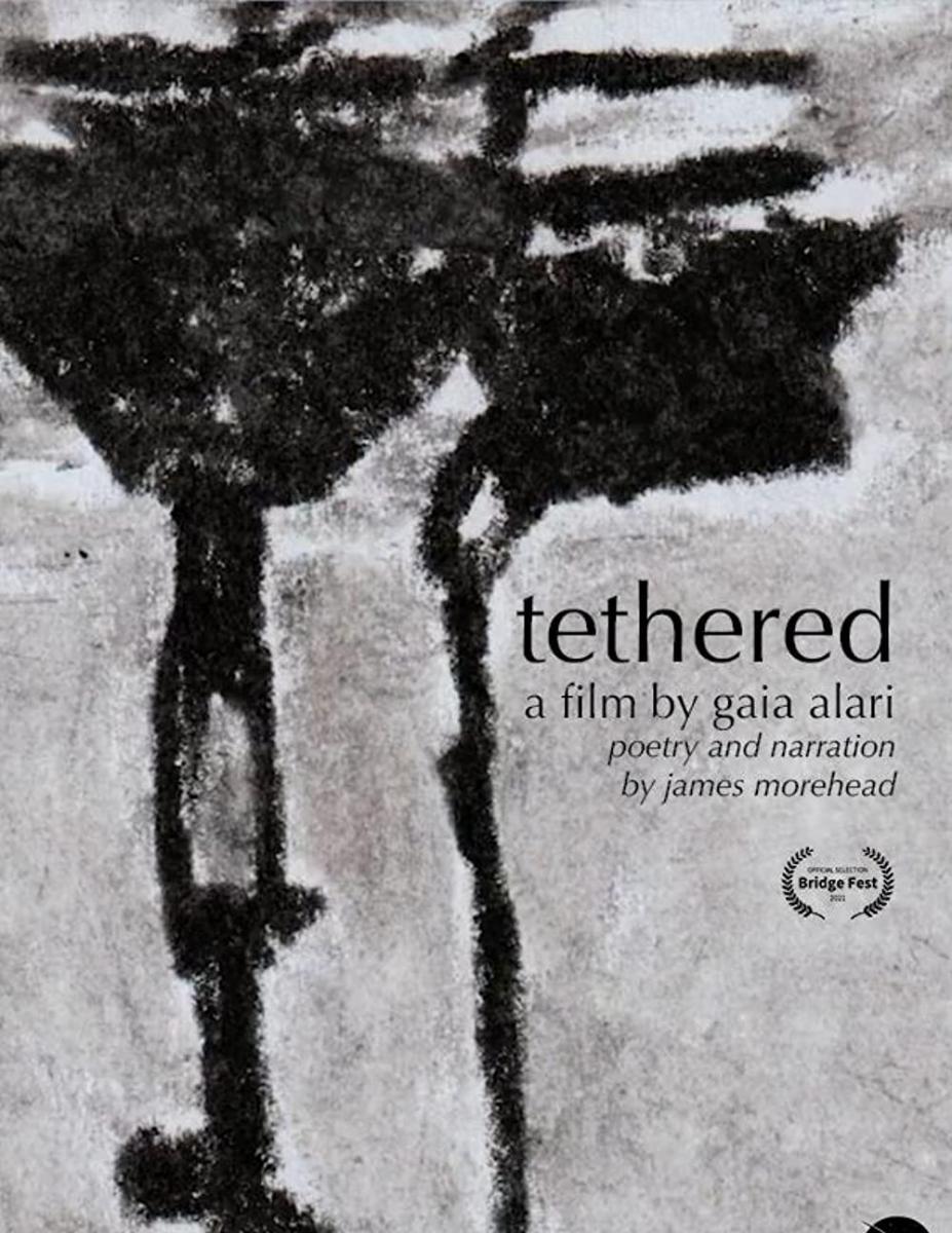 Tethered (C)