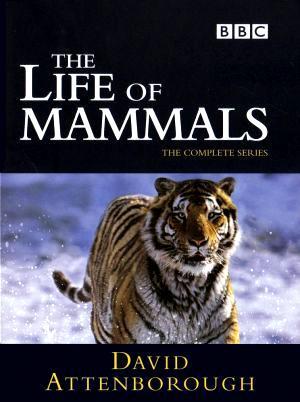 La vida de los mamíferos (Serie de TV)