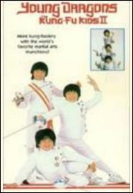 Young Dragons: Kung Fu Kids II