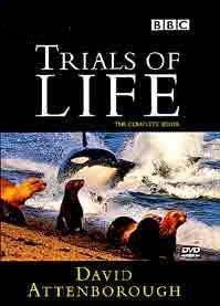 The Trials of Life (TV Series)