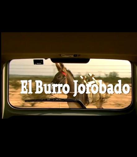 El burro jorobado