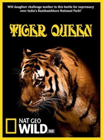 Tiger Queen (TV)