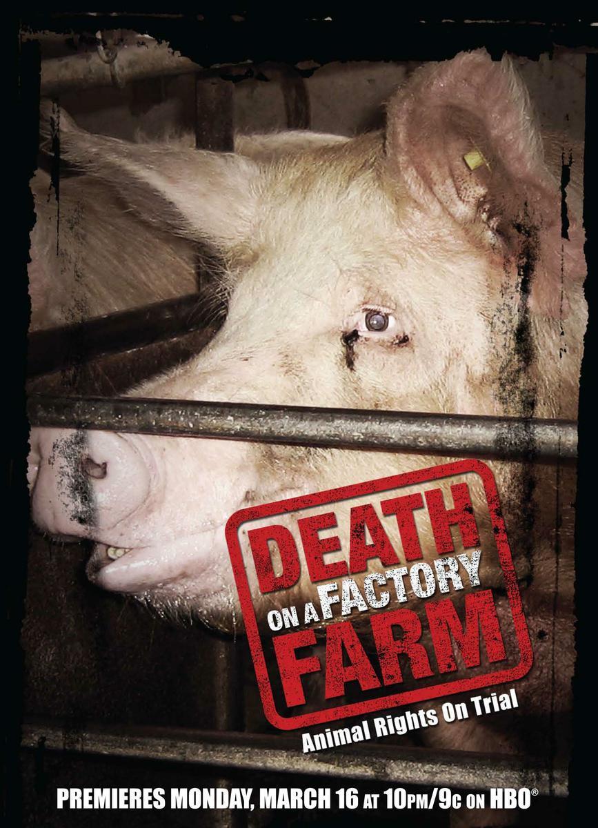 Death on a Factory Farm (TV)