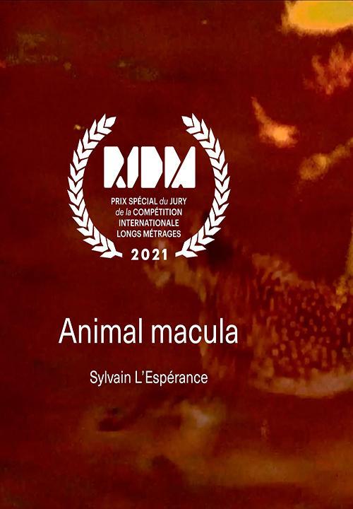 Animal Macula