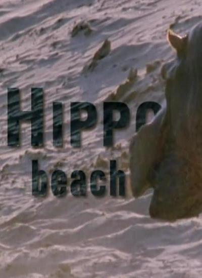 Hippo Beach (TV)