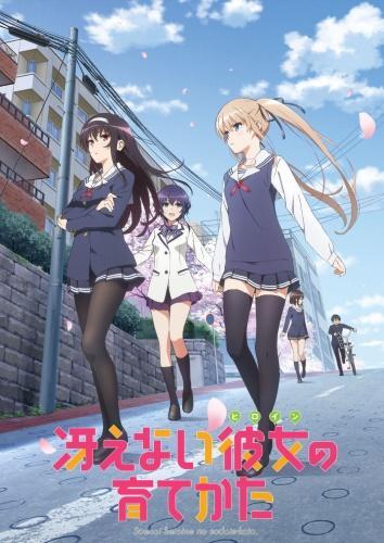 Saekano: How to Raise a Boring Girlfriend (TV Series)