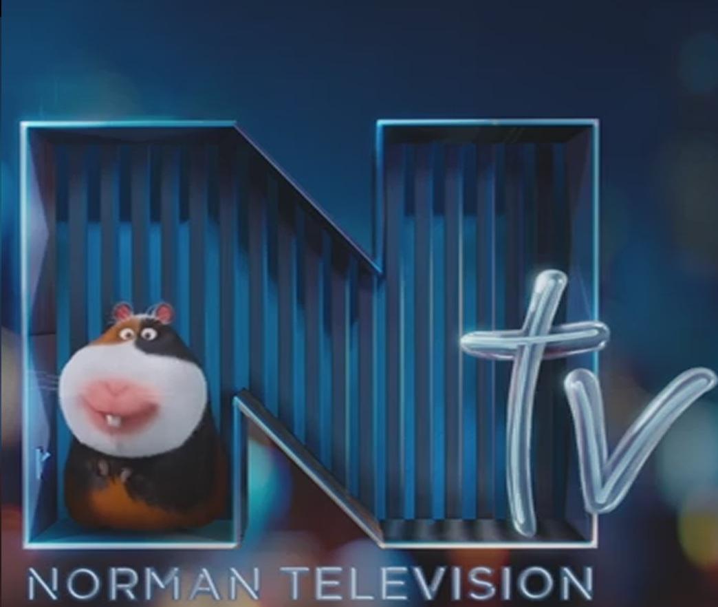 NTV: Televisión Norman (C)