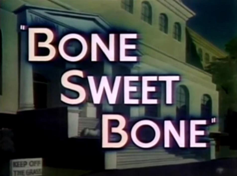 A otro perro con ese hueso: Bone Sweet Bone (C)