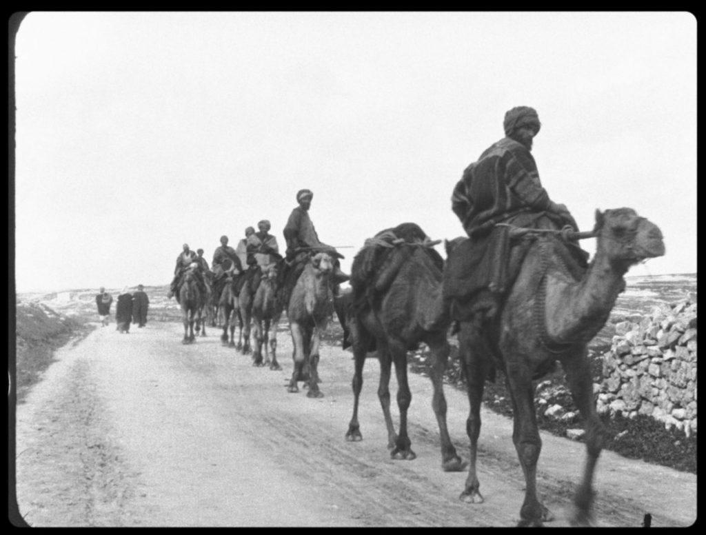 Caravane de chameaux (C)