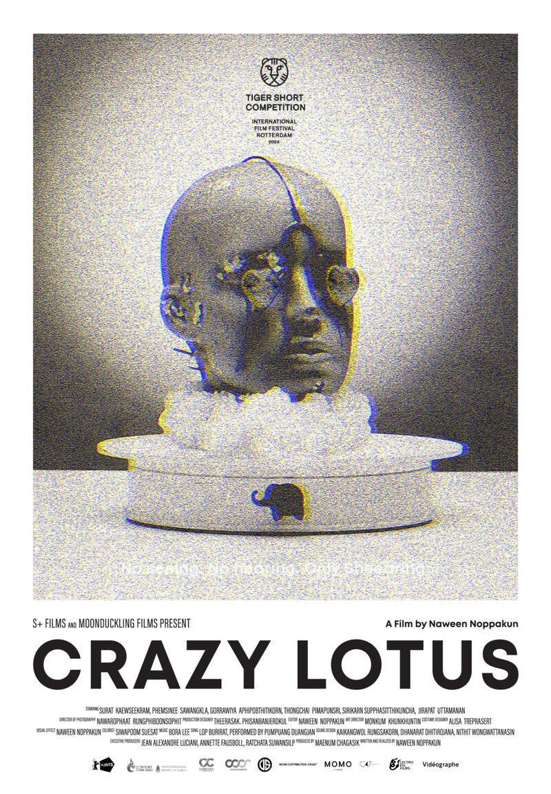 Crazy Lotus (C)