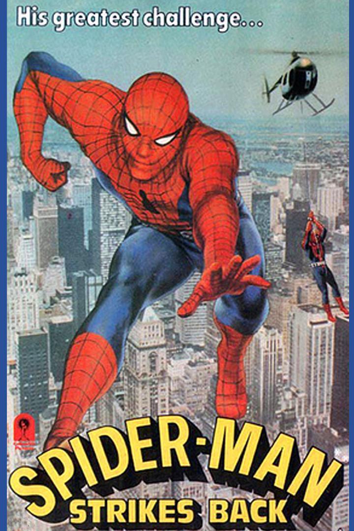 Spiderman 2: El Hombre Araña en acción