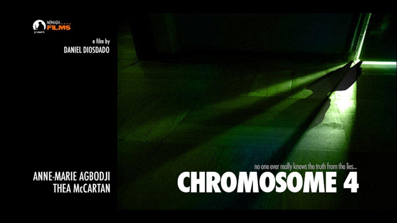 Chromosome 4 (S)