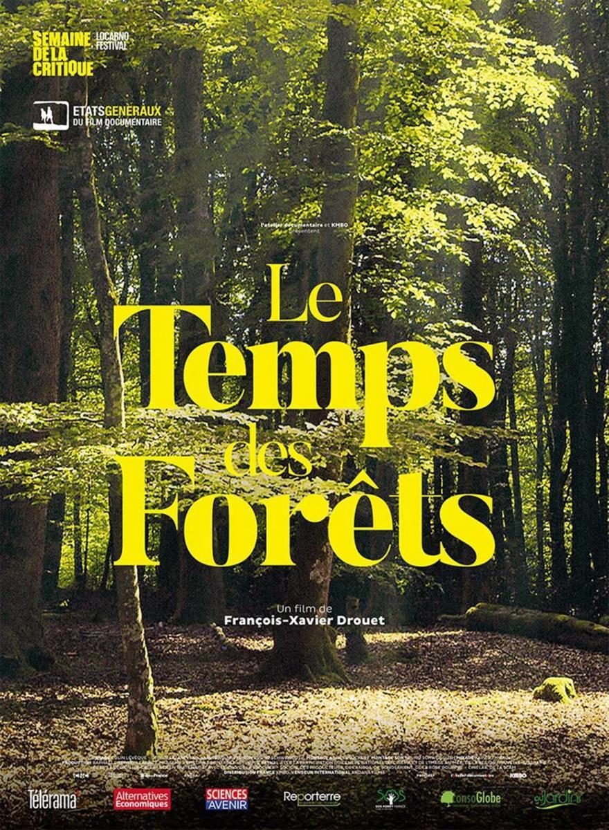 Le temps des forêts