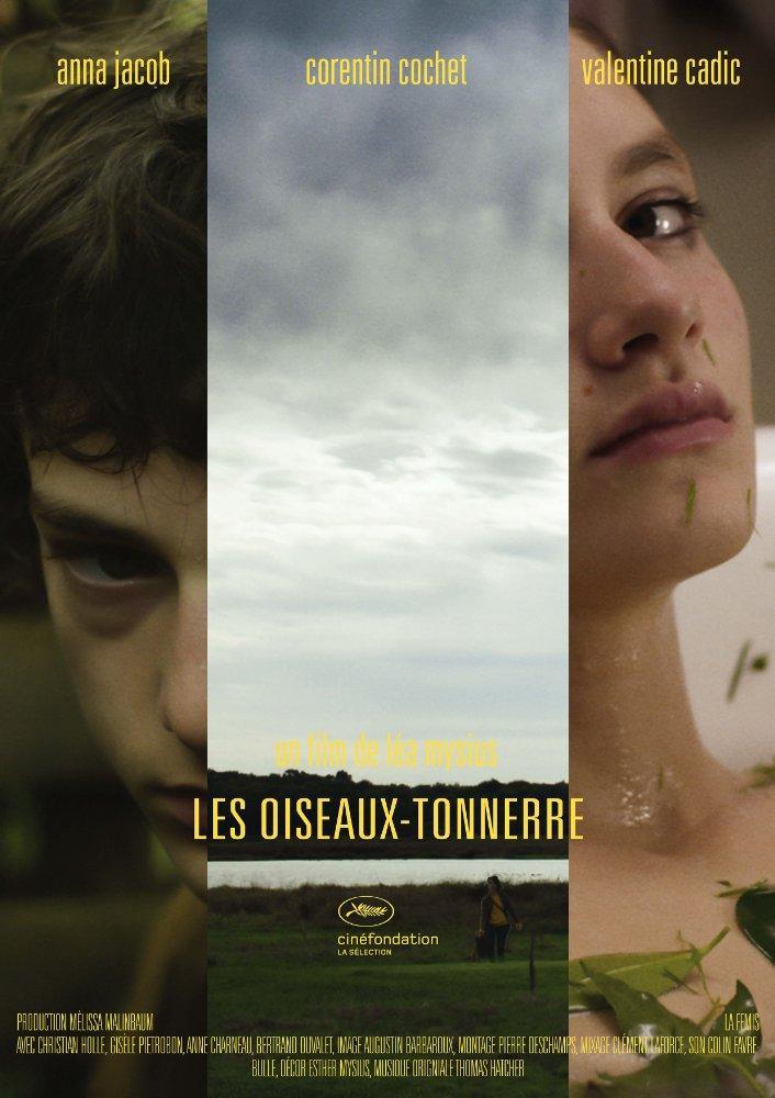 Les oiseaux-tonnerre (S)