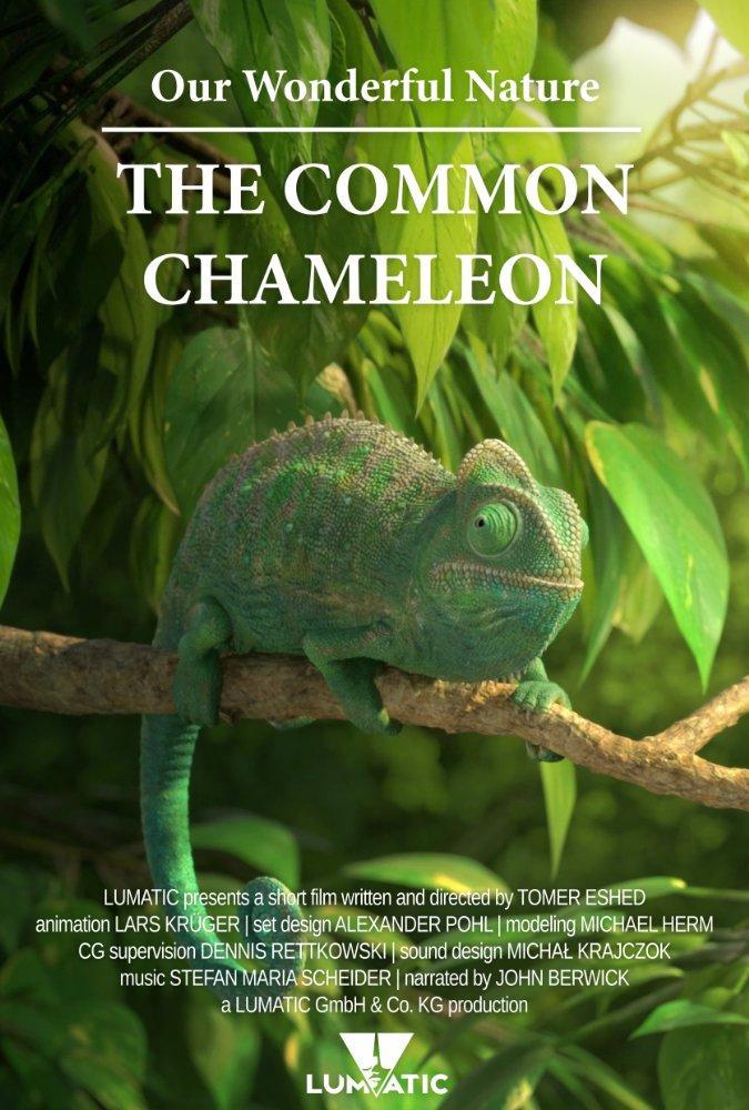 Our Wonderful Nature - The Common Chameleon (S)