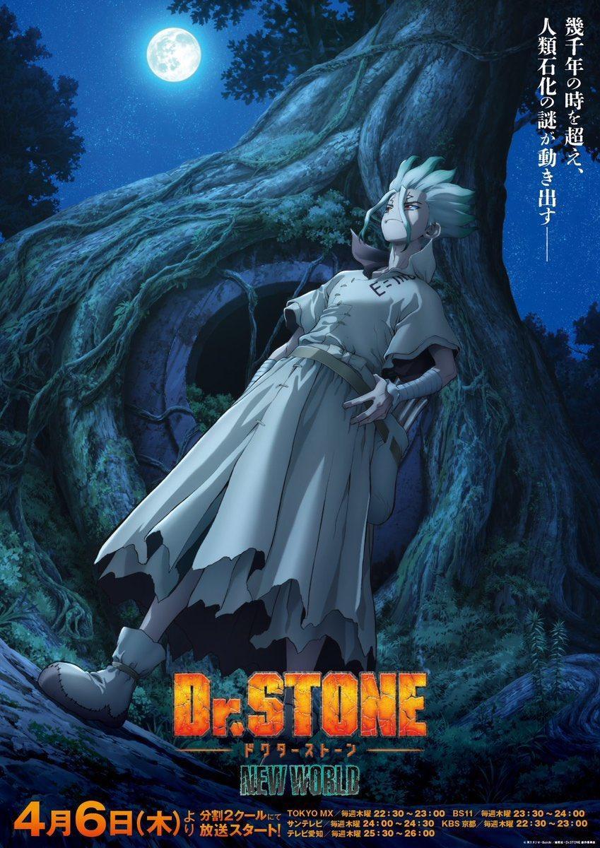 Dr. Stone: New World (Serie de TV)