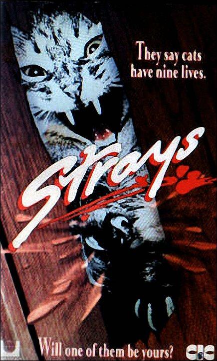 Strays (Killer Cats) (TV)