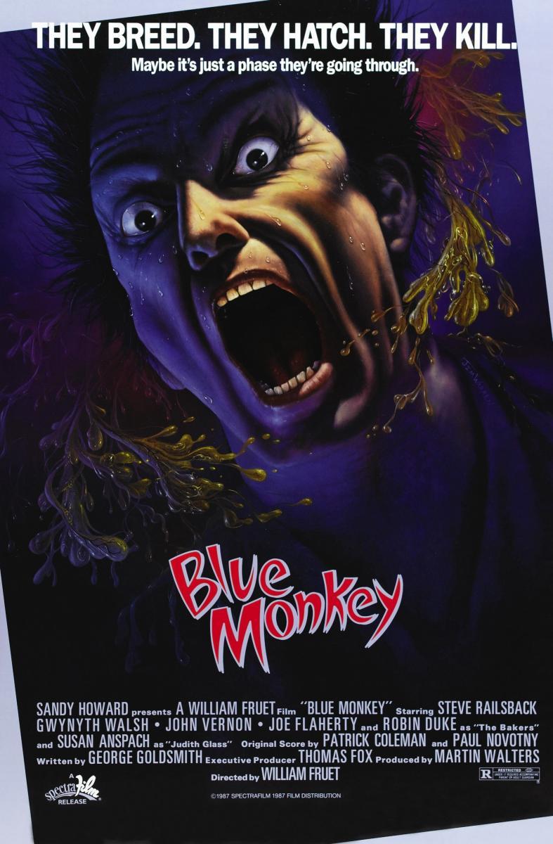 Blue Monkey