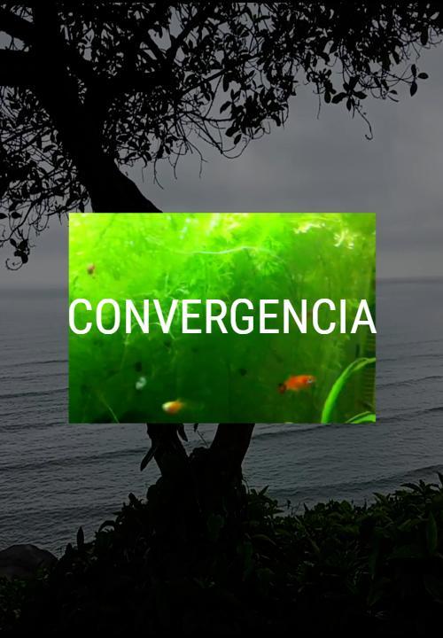 Convergencia