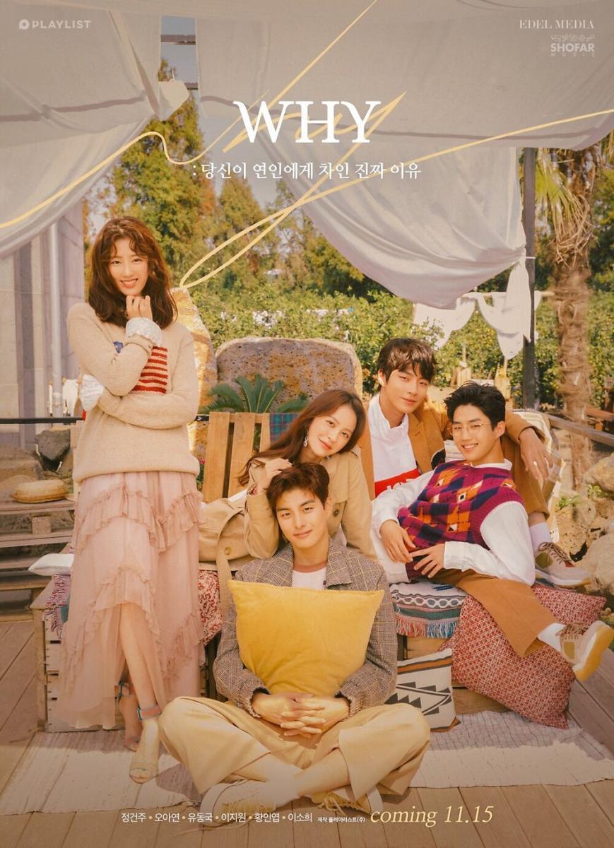 W.H.Y.: What Happened to Your Relationship (Serie de TV)