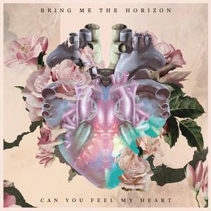 Bring Me the Horizon: Can You Feel My Heart (Music Video)