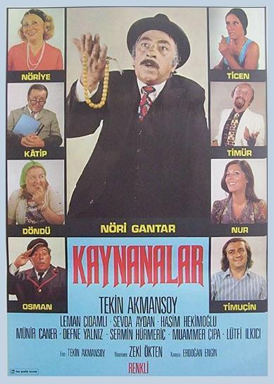 Kaynanalar (Serie de TV)