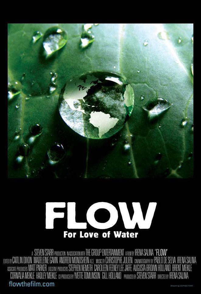 Flow: For Love of Water