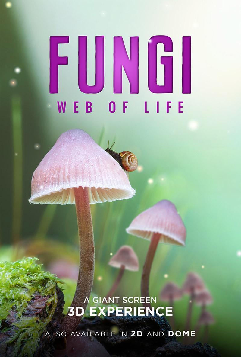 Fungi: Web of Life