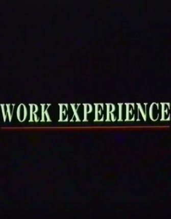 Work Experience (S)