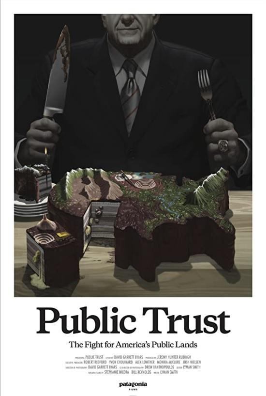 Public Trust