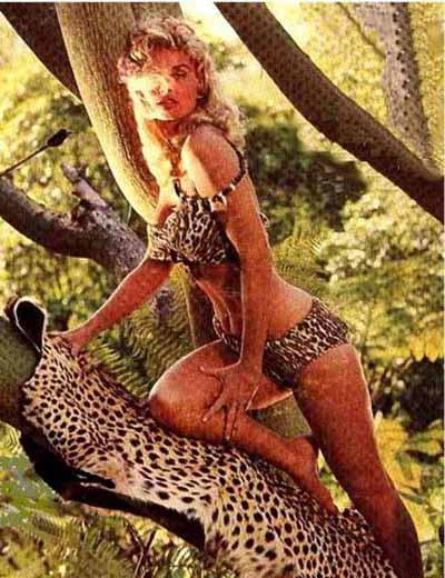 Sheena: Queen of the Jungle (TV Series)